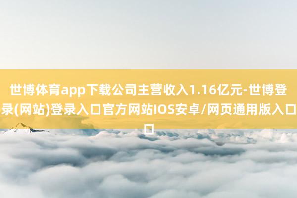 世博体育app下载公司主营收入1.16亿元-世博登录(网站)登录入口官方网站IOS安卓/网页通用版入口