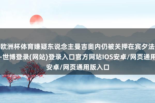 欧洲杯体育嫌疑东说念主曼吉奥内仍被关押在宾夕法尼亚州-世博登录(网站)登录入口官方网站IOS安卓/网页通用版入口